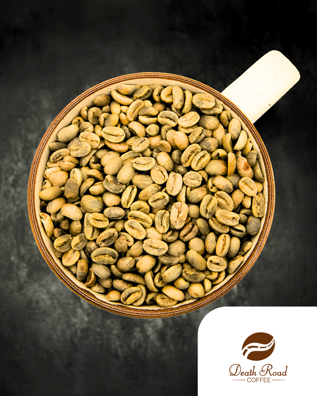 Pacamara